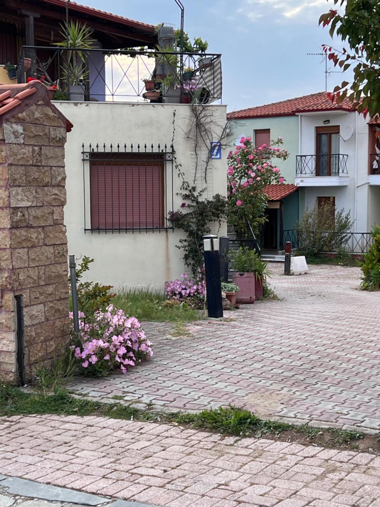 Joanna Apartment Gerakini Exterior foto